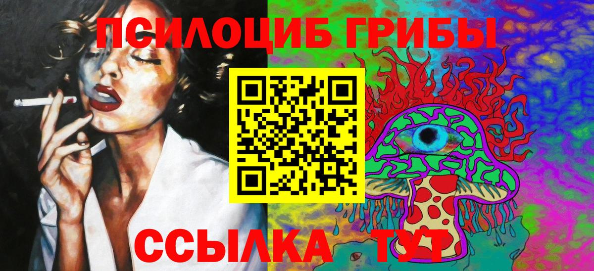 Псилоцибиновые грибы GOLDEN TEACHER Мценск