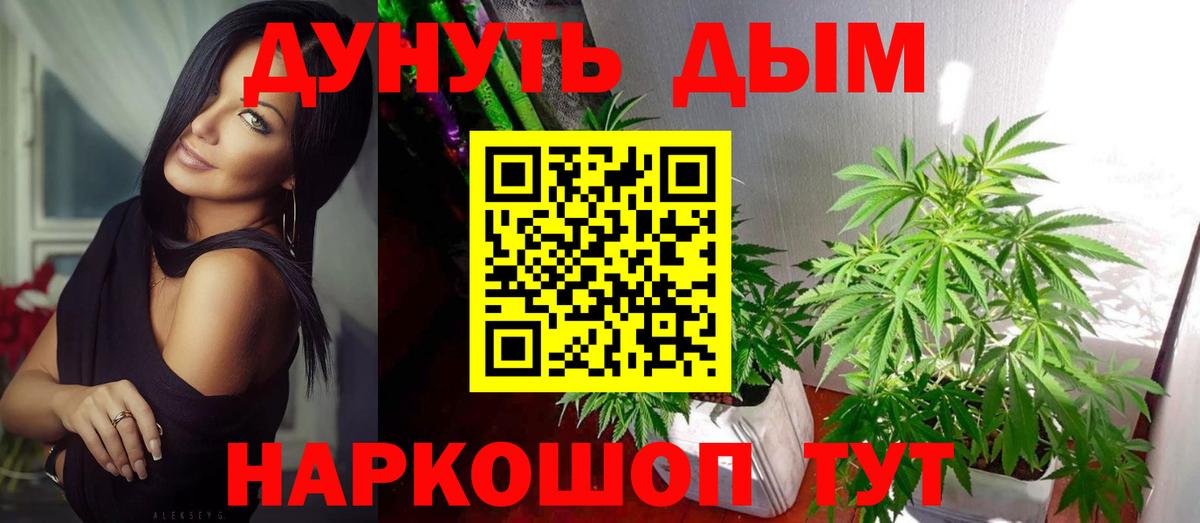 МАРИХУАНА сатива  Вход с VPN  МАРИХУАНА индика  Мценск  Бошки марихуана VHQ  Марихуана сатива 